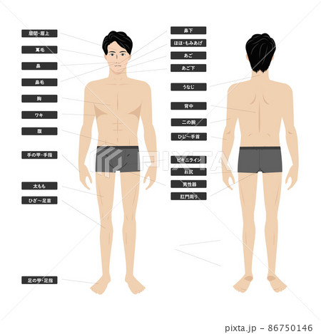 若いアジア人男性の下着姿の脱毛エステの全身の箇所指示白バックのイメージイラスト図のイラスト素材