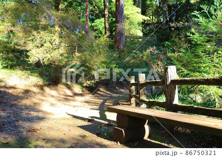 秋の陽ざしを浴びて歩く山道　ベンチ　風景 86750321