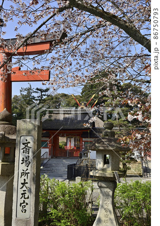 斎場所大元宮 桜 斎場所大元宮 桜 86750793