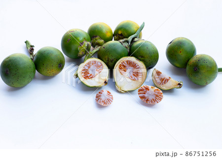 Betel nut on white background. 86751256