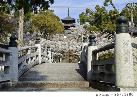 金戒光明寺 極楽橋 さくら 金戒光明寺 極楽橋 さくら 86751390