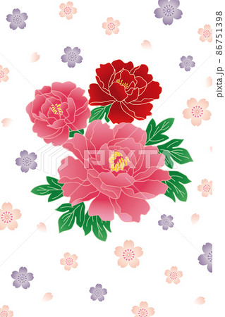 和柄の牡丹の花のイラストのイラスト素材