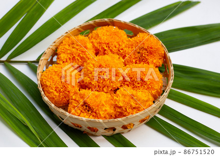 Marigold flowers in bamboo basket Marigold flowers in bamboo basket 86751520