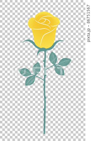 Yellow rose that is beginning to bloom Yellow rose that is beginning to bloom 86751567