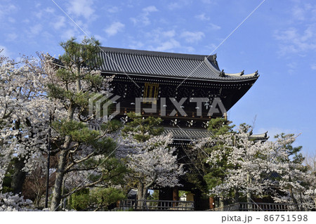 くろ谷　金戒光明寺　山門と桜 86751598