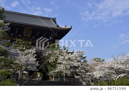 くろ谷 金戒光明寺 山門と桜 くろ谷 金戒光明寺 山門と桜 86751599