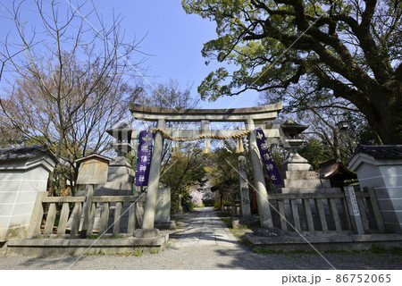 京都御苑 宗像神社 京都御苑 宗像神社 86752065