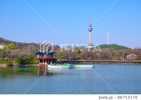 春 豆類公園 池 86753570