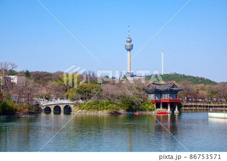春 豆類公園 池 86753571