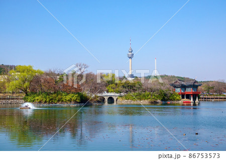 春 豆類公園 池 86753573