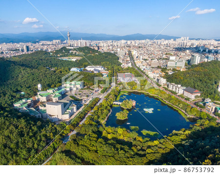 豆類公園 池 大邱 86753792
