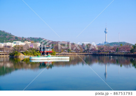 春 豆類公園 池 86753793