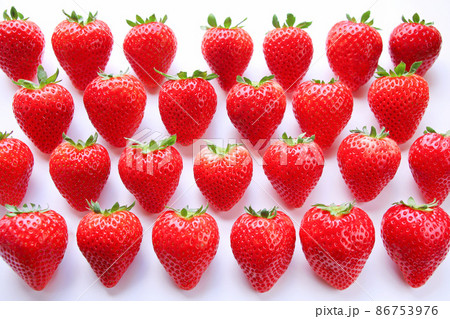 栃木県産いちご 新品種 とちあいかの写真素材 [86753976] - PIXTA