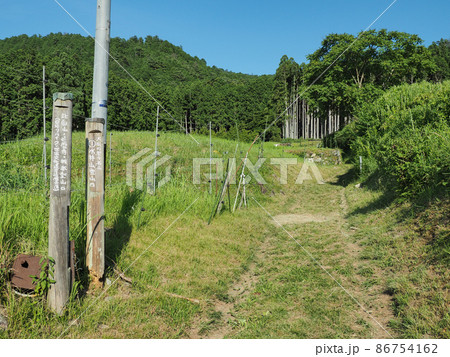 京都府 比叡山 東海自然歩道 86754162
