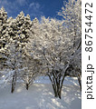 雪化粧をした木々たち 86754472