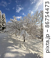 眩しいほどの日差しに照らされた雪景色の木々たち 86754473
