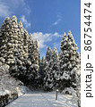 青空のもとの杉林の奥へと続く雪道 86754474