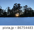 雪の日の松林越しに昇る朝陽 86754483