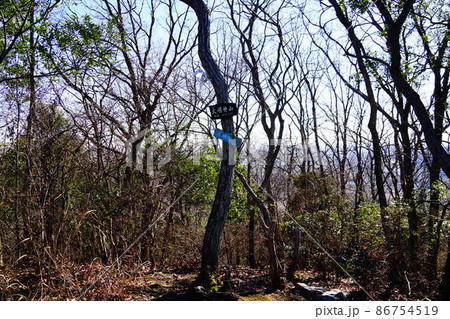 栃木 大明神山 山頂 栃木 大明神山 山頂 86754519