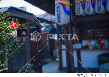 京都市北区に所在する五色八重散り椿で有名な地蔵院を撮影 86754581