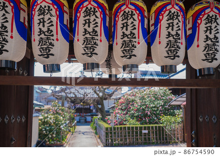 京都市北区に所在する五色八重散り椿で有名な地蔵院を撮影 86754590