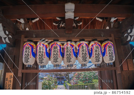 京都市北区に所在する五色八重散り椿で有名な地蔵院を撮影 京都市北区に所在する五色八重散り椿で有名な地蔵院を撮影 86754592