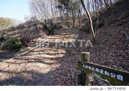太田市北部運動公園から唐沢山へのハイキング道　尾根を登る急坂の階段 86754806