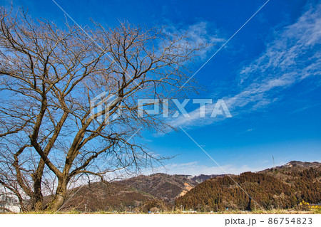 鳴鹿大堰 鳴鹿大堰 86754823