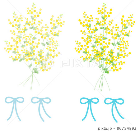 ミモザの花束 ミモザの花束 86754892