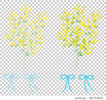 ミモザの花束 ミモザの花束 86754892