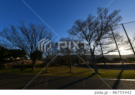 公園 86755442