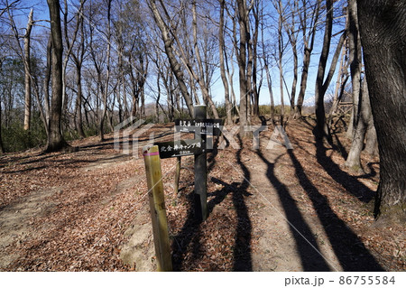 太田市北部運動公園から唐沢山へのハイキング道 北金井キャンプ場からのハイキング道に合流地点 太田市北部運動公園から唐沢山へのハイキング道 北金井キャンプ場からのハイキング道に合流地点 86755584