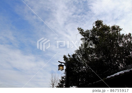 冬の岐阜公園散策・85（岐阜市岐阜公園近隣） 86755917