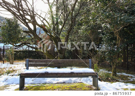 冬の岐阜公園散策・65(岐阜市岐阜公園近隣) 冬の岐阜公園散策・65(岐阜市岐阜公園近隣) 86755937