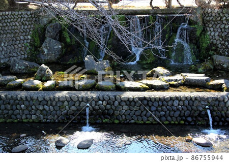 冬の岐阜公園散策・58(岐阜市岐阜公園近隣) 冬の岐阜公園散策・58(岐阜市岐阜公園近隣) 86755944