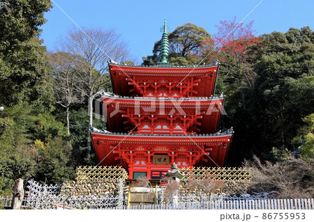 冬の岐阜公園散策・49(岐阜市岐阜公園近隣) 冬の岐阜公園散策・49(岐阜市岐阜公園近隣) 86755953