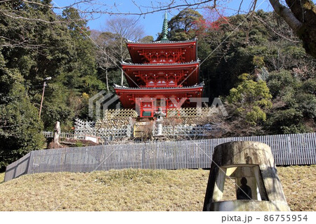 冬の岐阜公園散策・48（岐阜市岐阜公園近隣） 86755954