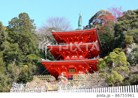 冬の岐阜公園散策・41(岐阜市岐阜公園近隣) 冬の岐阜公園散策・41(岐阜市岐阜公園近隣) 86755961