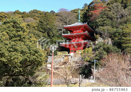 冬の岐阜公園散策・39(岐阜市岐阜公園近隣) 冬の岐阜公園散策・39(岐阜市岐阜公園近隣) 86755963