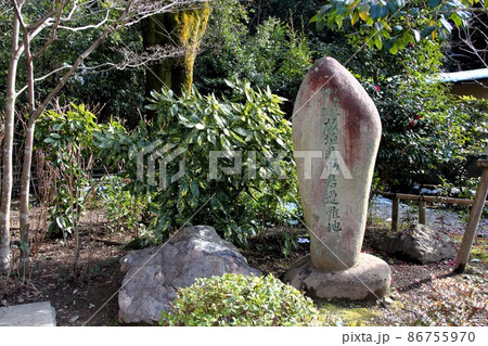 冬の岐阜公園散策・32（岐阜市岐阜公園近隣） 86755970