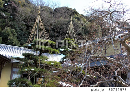 冬の岐阜公園散策・29(岐阜市岐阜公園近隣) 冬の岐阜公園散策・29(岐阜市岐阜公園近隣) 86755973
