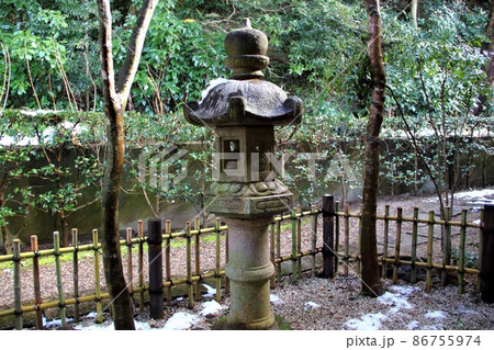 冬の岐阜公園散策・28（岐阜市岐阜公園近隣） 86755974