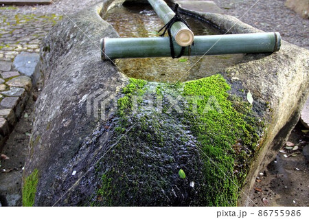 冬の岐阜公園散策・20（岐阜市岐阜公園近隣） 86755986