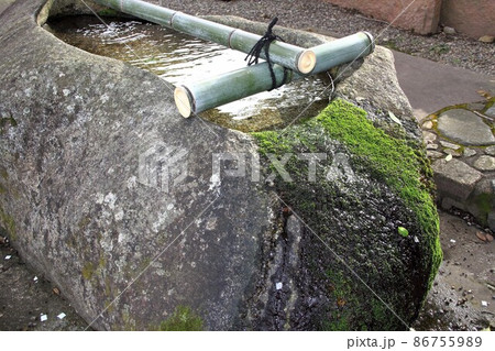 冬の岐阜公園散策・17(岐阜市岐阜公園近隣) 冬の岐阜公園散策・17(岐阜市岐阜公園近隣) 86755989