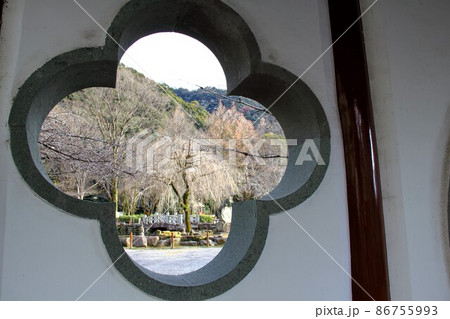 冬の岐阜公園散策・13（岐阜市岐阜公園近隣） 86755993