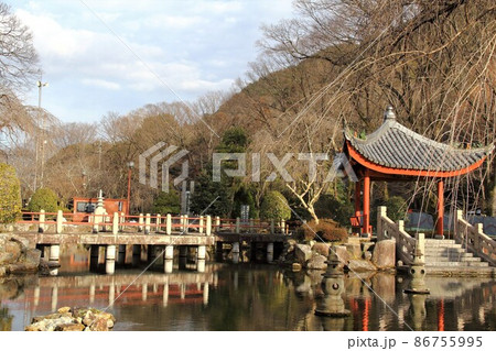 冬の岐阜公園散策・11(岐阜市岐阜公園近隣) 冬の岐阜公園散策・11(岐阜市岐阜公園近隣) 86755995