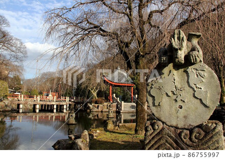 冬の岐阜公園散策・9（岐阜市岐阜公園近隣） 86755997
