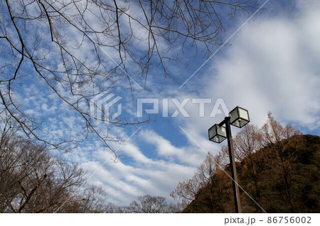 冬の岐阜公園散策・4(岐阜市岐阜公園近隣) 冬の岐阜公園散策・4(岐阜市岐阜公園近隣) 86756002