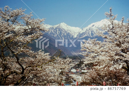 桜満開の大町霊園からの残雪の北アルプス 桜満開の大町霊園からの残雪の北アルプス 86757769