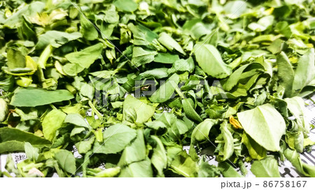 Green color dry Fenugreek leaves seasoning Green color dry Fenugreek leaves seasoning 86758167